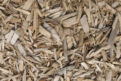 biomass boilers Nettlestone