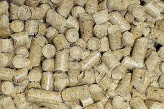 Nettlestone biomass boiler costs