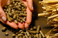 free Nettlestone biomass boiler quotes