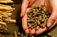 Nettlestone pellet boiler